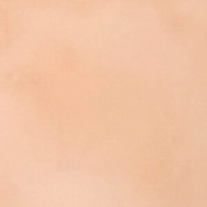 Color sample 12 - Handmade cement tiles by Villa Tiles